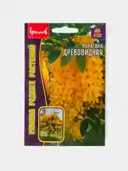 Семена Карагана Древовидная Акация Желтая