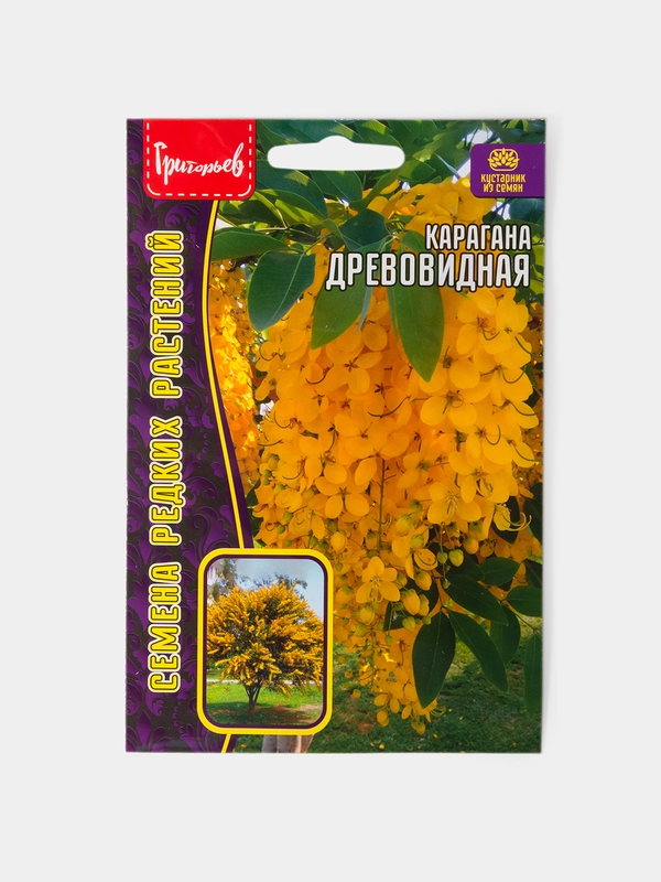 Семена Карагана Древовидная Акация Желтая
