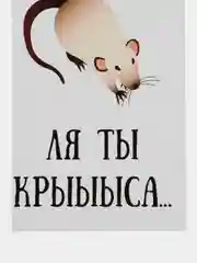 Открытка "Ля ты крыса"