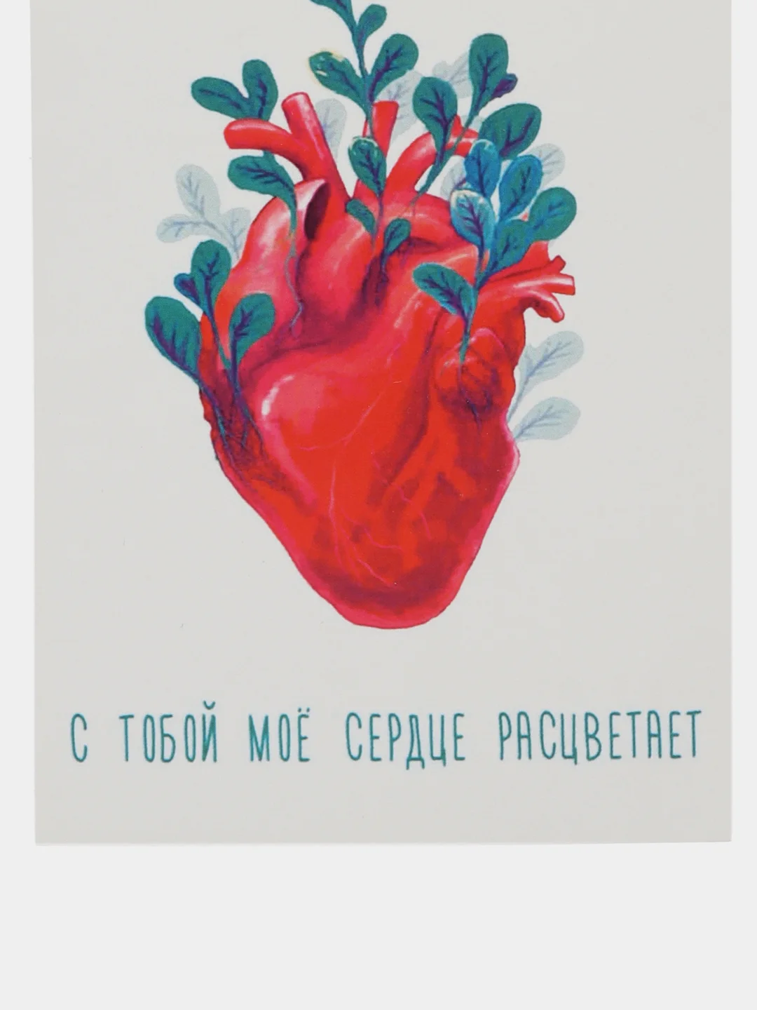 Открытка "С тобой мое сердце расцветает"
