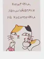Открытка "Кошечки записываемся на коготочки"