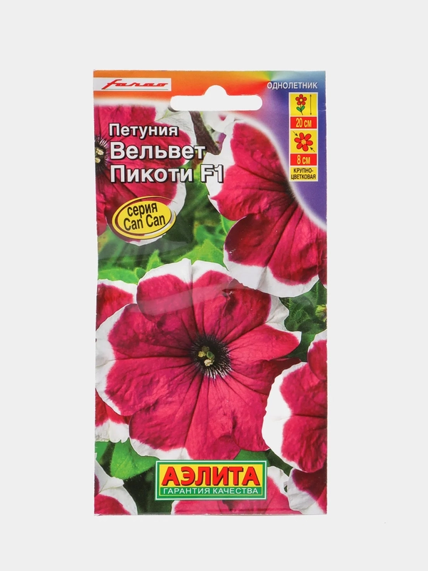 Петуния Вельвет пикоти (семена, цветы)