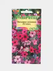 Семена цветы "Вискария Румба"