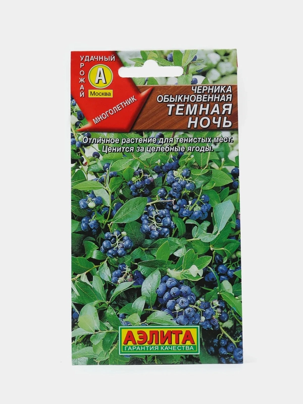 Семена "Черника Темная ночь"