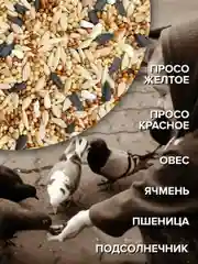 Корм для уличных и лесных птиц 1 кг