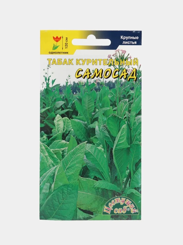 Семена "Табак Самосад"