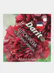 Семена цветов Шток роза "Бордовая замша"