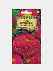 Семена цветов Астра "Пампушка вишневая"