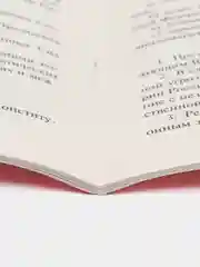 Конституция РФ. Комплект из 2х штук