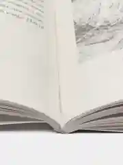 Отрочество. Повесть. Толстой Л.Н