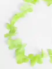Салатовый ожерелье гавайское
