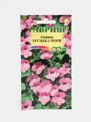 Семена цветы "Азарина Музыка моря"
