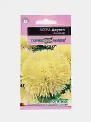 Семена цветы "Астра Джувел хелиодор"