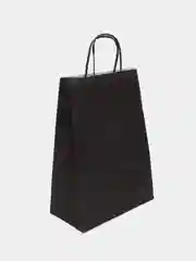 Черный бумажный крафт пакет с крученой ручкой, 25 х 11 х 32 см