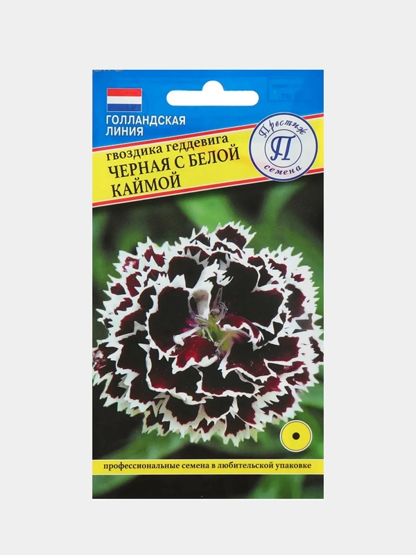 Семена Гвоздика однолетняя "Черная с белой каймой", 15 шт