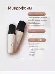 Голубой портативная караоке-колонка с беспроводным микрофоном