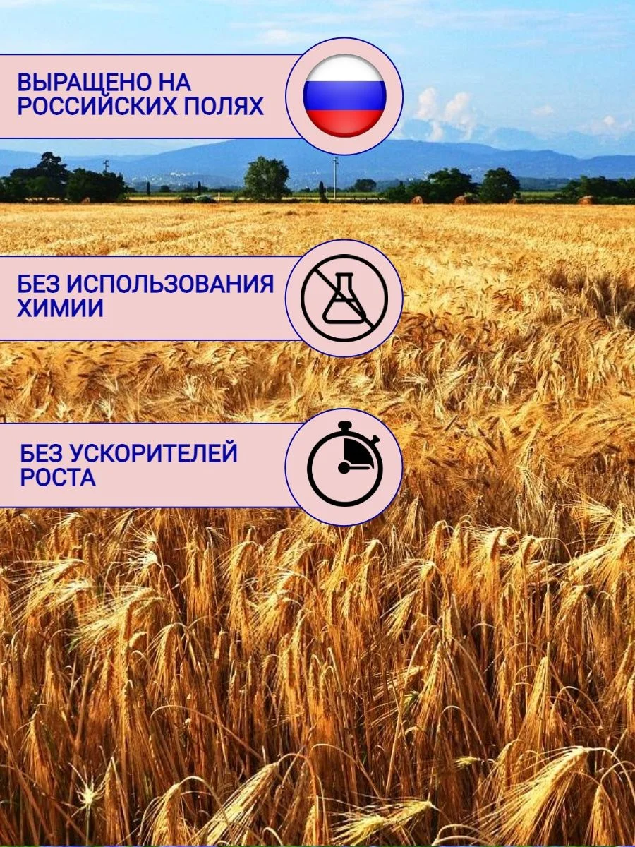 Овес корм для грызунов и птиц 800 гр