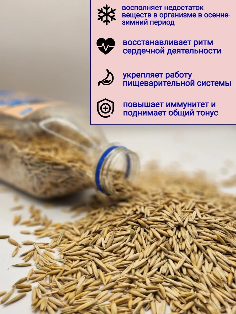 Овес корм для грызунов и птиц 800 гр