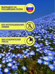 Семена льна для птиц и грызунов 1 кг