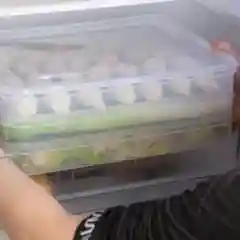 Белый контейнер для еды и заморозки пельмений/ягод/овощей с крышкой