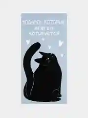 Конверт для денег Подарок, кот, 16,5  8 см