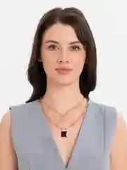 Двухслойная цепь-подвеска с кулоном