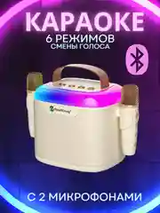 Белый портативная музыкальная караоке-колонка с подсветкой и микрофоном, подарок