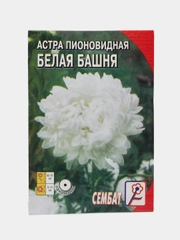 Семена цветов Астра пионовидная, белая, 0, 2 г