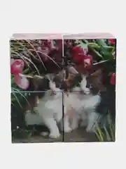 Детские кубики
