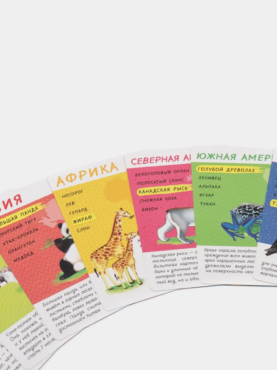 Игра карточная "Кто где живет", серия Спроси меня, 54 карточки, 8х12 см