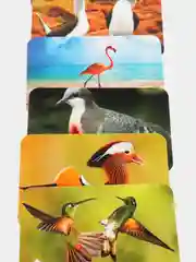 Настольная игра "Мемо. Пернатый мир"