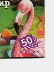 Настольная игра "Мемо. Пернатый мир"