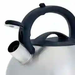 Чайник WEBBER BE-0593 и BE-0587 из нержавеющей стали со свестком объем 3л