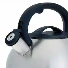 Чайник WEBBER BE-0593 и BE-0587 из нержавеющей стали со свестком объем 3л