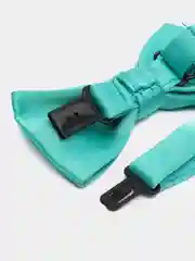 Салатовый галстук-бабочка
