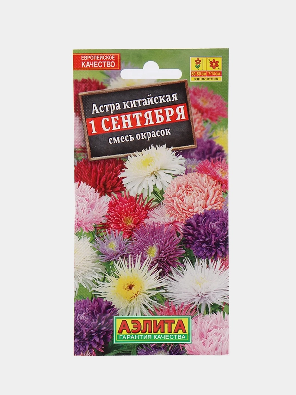 Астра "1 сентября", семена, цветы