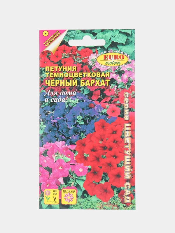Петуния "Черный бархат" (семена, цветы)