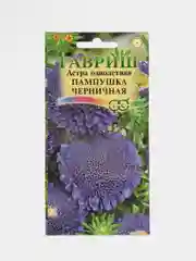 Семена цветы "Астра Пампушка черничная"