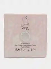 Серебряный читай-коран, Бахур