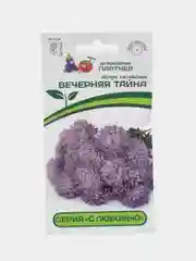 Астра Вечерняя тайна партнер (семена,цветы)