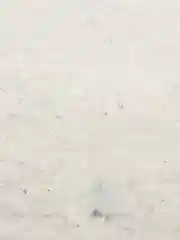 Тряпка для пола/Тряпка для мытья пола/Половая тряпка/Салфетка для уборки/Для сада