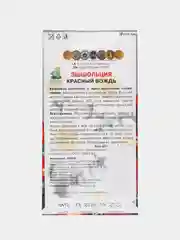 Алый эшшольция в ассортименте, семена