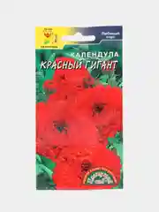 Алый календула в ассортименте, семена