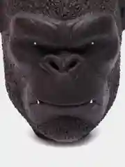 Белый чаша для кальяна KING KONG