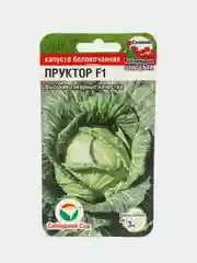 Семена "Капуста Пруктор"