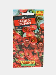 Семена "Айва Золотое яблоко"