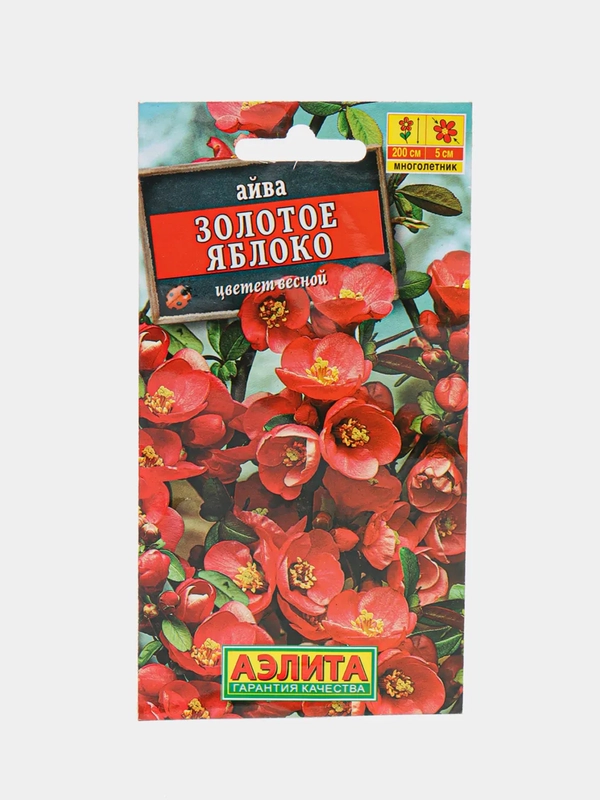Семена "Айва Золотое яблоко"