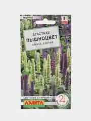 Семена цветы "Агастахе пышноцвет"