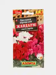 Семена цветы "Цикламен Жандарм"