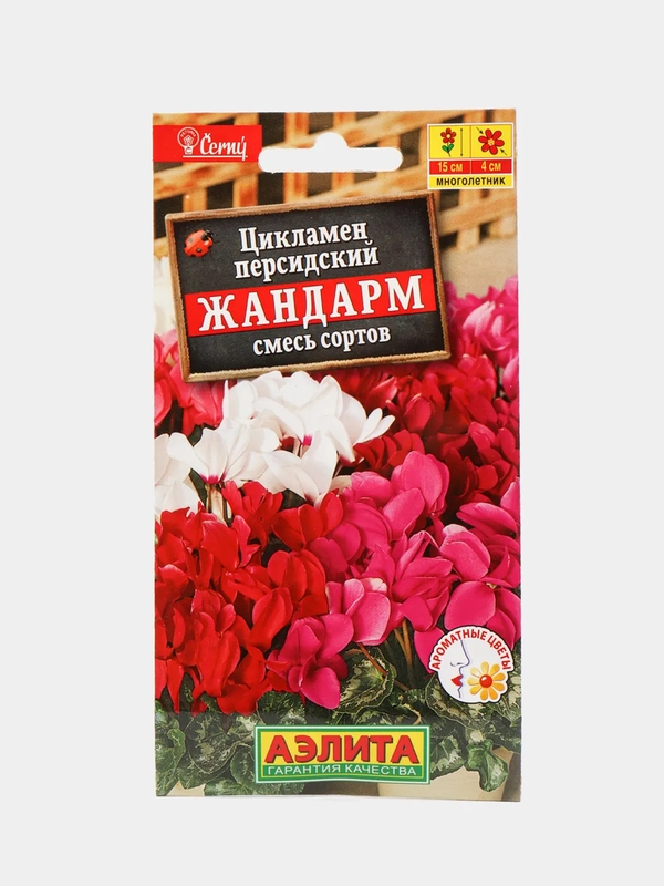 Семена цветы "Цикламен Жандарм"